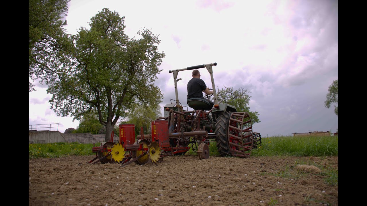 Vatter ´s erleben: # Maisämaschine EBRA im EINSATZ # Allgaier A111, Bj.1954