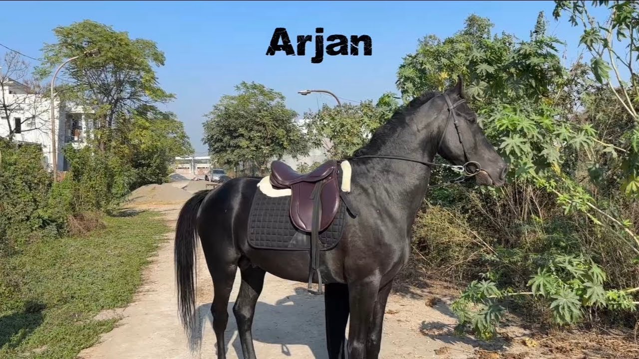 Check kro mittro apna new vlog…….