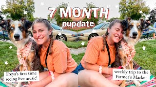 Life with a 7 Month Old Australian Shepherd! | Going to the Farmer's Market, + Seeing Live Music!