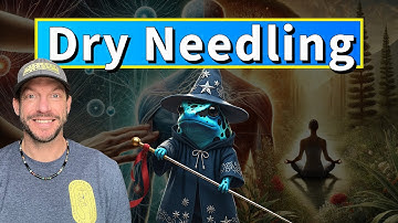 Dry Needling: How to Improve Autonomic Nervous System Homeostasis, the Key to Health- Part 4