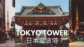 WHAT TO DO NEAR THE TOKYO TOWER 🗼(and beyond)