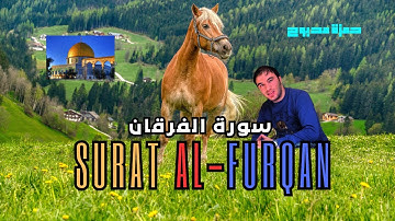 سورة الفرقان - القرآن الكريم وكانك تسمعه لأول مرة...القارئ حمزة مدبوح