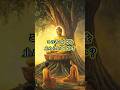 【考えすぎを止める教え】#buddha #bussimulatorindonesia #meditation
