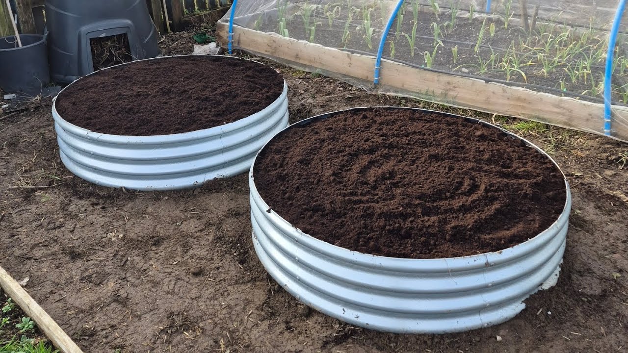 A beautiful day on the plot... hugelkuture raised beds..