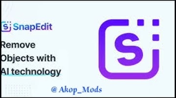 SnapEdit AI – Remove Unwanted Objects in Photos Instantly | Best AI Photo Editor 2025
