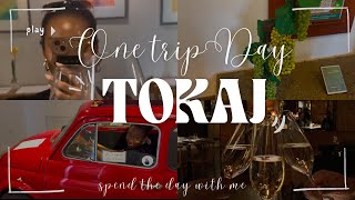 TOKAJ HUNGARY I ONE DAY TRIP I WINE TASTING I MUSUEM I TRAVELING YOUTUBE TRAVEL BLOGGERS ON YOUTUBE