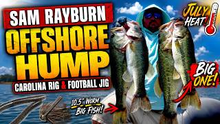 I Found a Loaded Offshore Hump on Sam Rayburn! (July Bass Fishing)