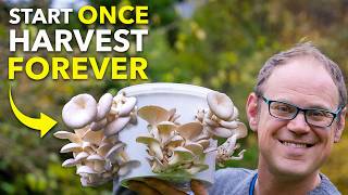 How To Grow Mushrooms in a Bucket by GrowVeg 729,812 views 4 months ago 12 minutes, 6 seconds