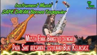 Instrument Music SAPE DAYAK terpopuler 2021 || Enak Didengar saat bersantai Istirahat (No CopyRight)