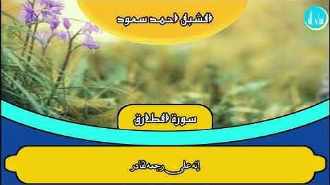 تلاوة عذبة للشبل احمد سعود