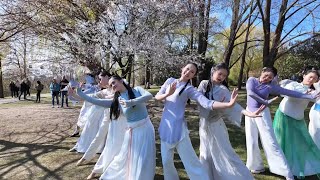立春Lichun (Beginning of Spring)｜Chinese Dance Performance in Berlin Cherry Blossom Festival 