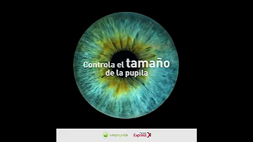 Descubre cuáles son las funciones del iris