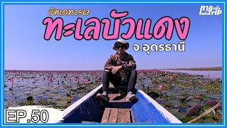 (EP.50) กาลครั้งหนึ่งTrip | ทะเลบัวแดง ท่าเรือแชแล จ.อุดรธานี ความงามบนพื้นน้ำ