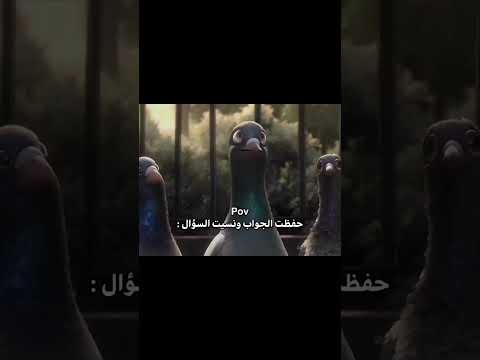 رياكشن انا شفتوه قبل كدة