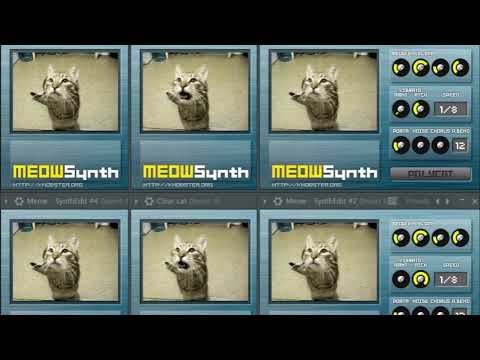 Cat City [MeowSynth]
