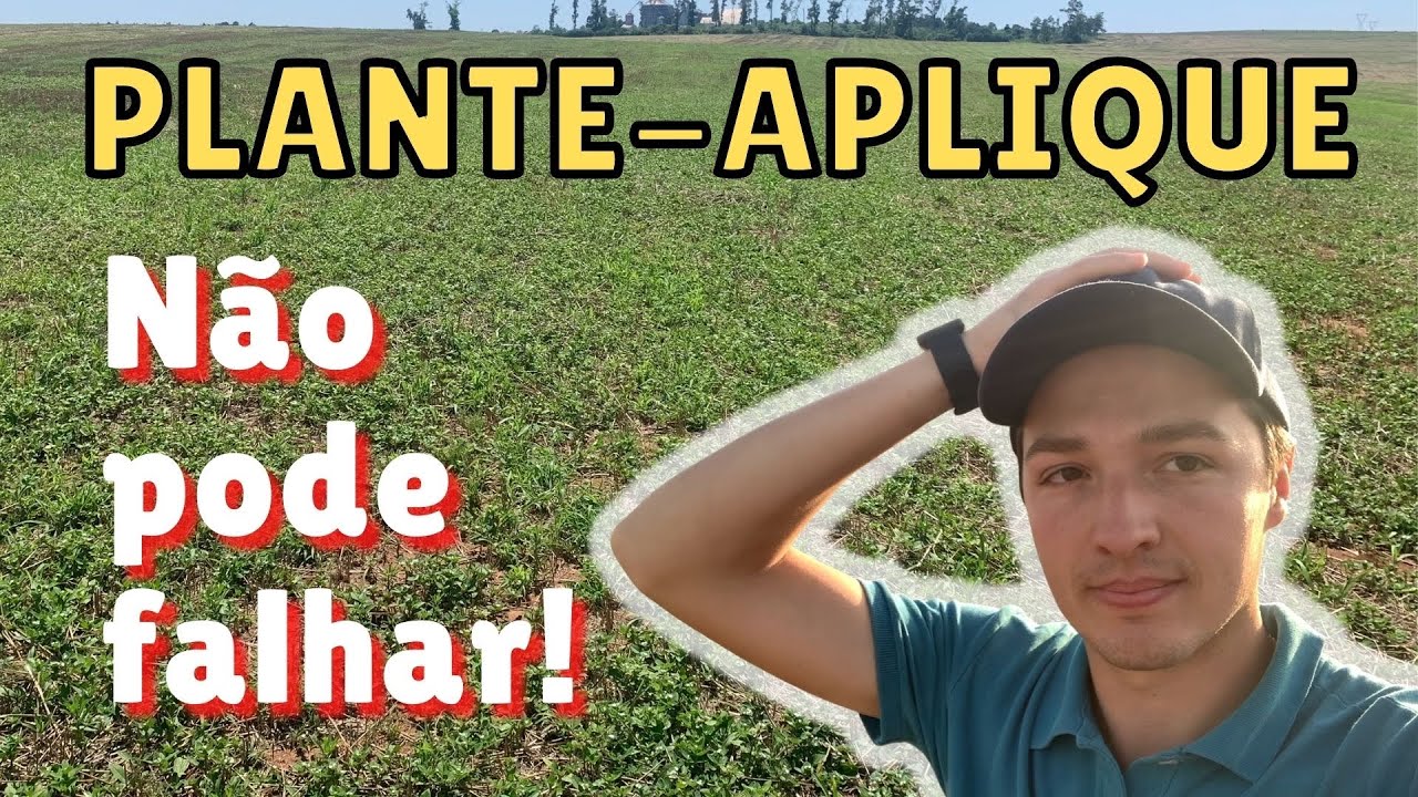 POAIA na SOJA! Tem que funcionar essa aplicação…