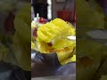 【千葉県】失敗しない千葉のスイーツまとめ！