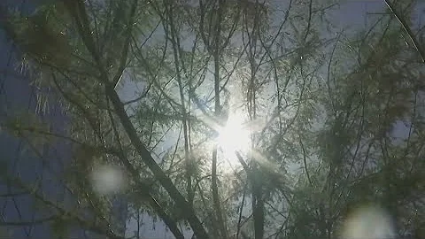 Wellness Wednesday | How can hot weather affect your mood?