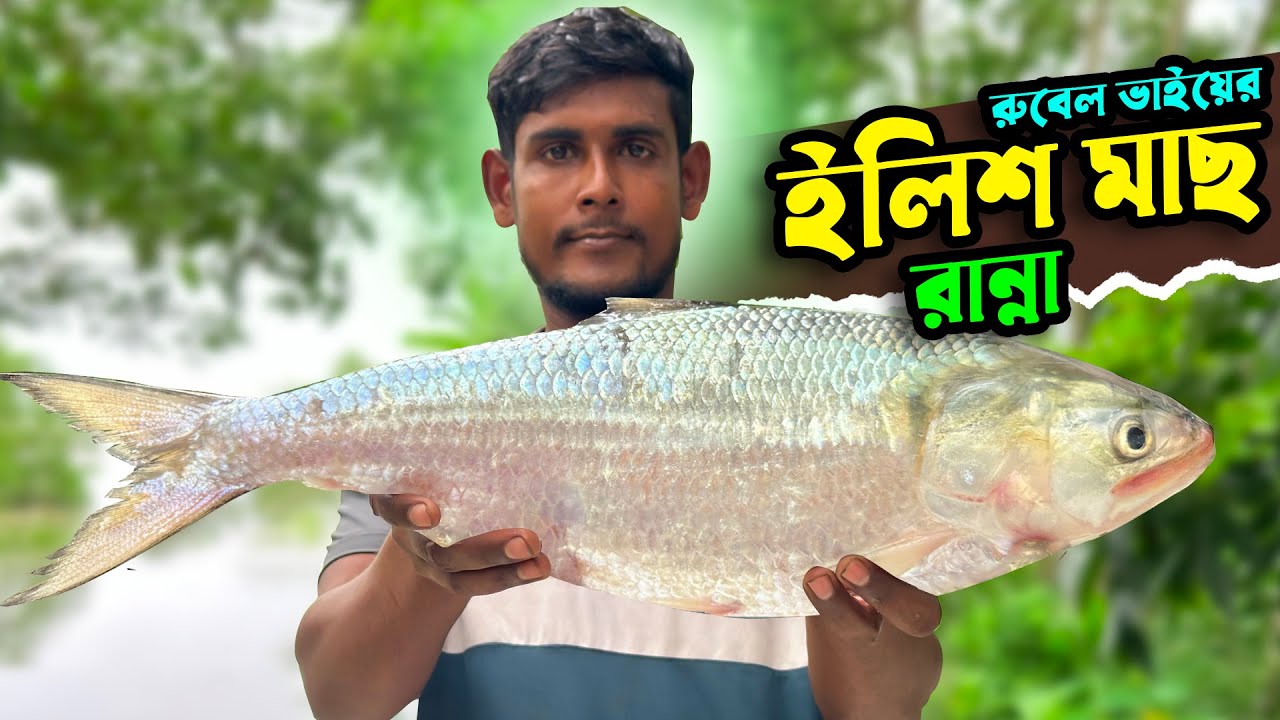 সবাইকে ধরে ধরে কচু দিল রুবেল ভাই | পায়রা ভ্রমণ 2024 | ৩য় পর্ব | Hilsha Fish Cooking | Adventure BD