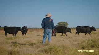 Stanbroke | A family-owned, vertically integrated Australian beef company