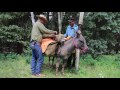 Donkey Packing - www.mountainridgegear.com