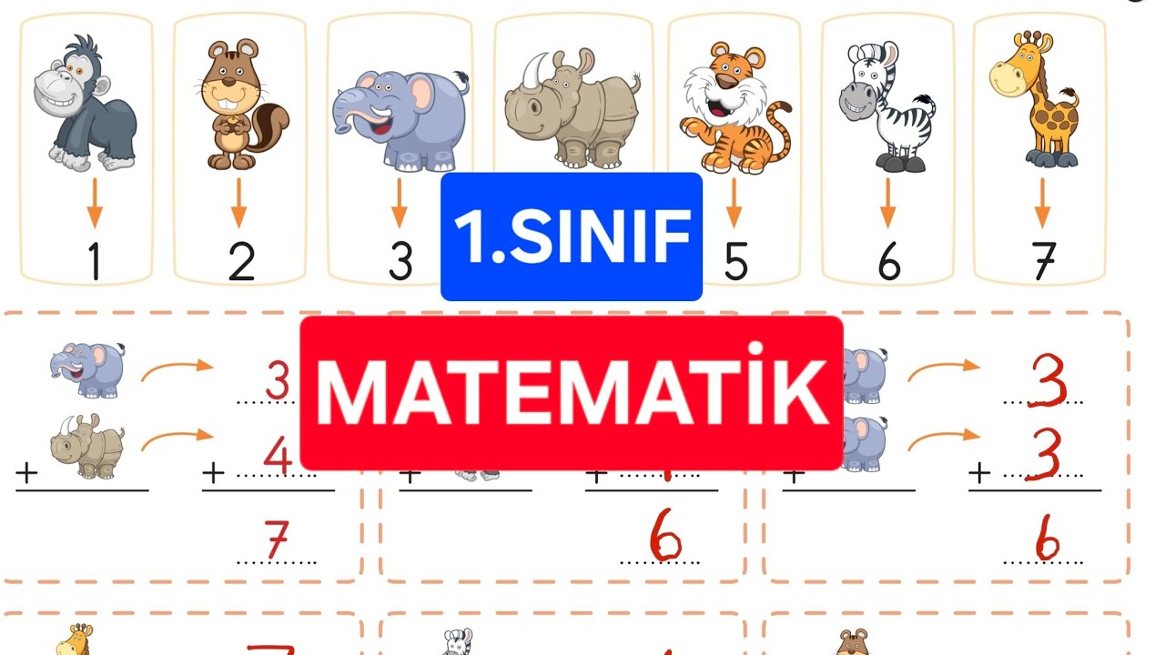 TOPLAMA İŞLEMİ ALIŞTIRMA | MATEMATİK
