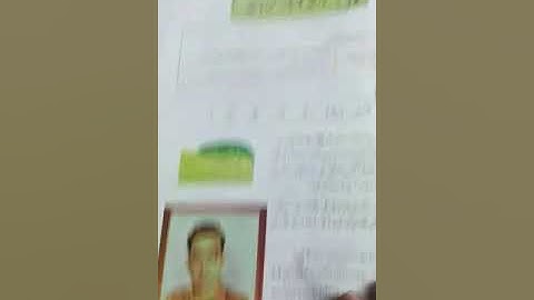 Grade 6: Urdu: Unit 12 half Rd/ The Message School Sialkot