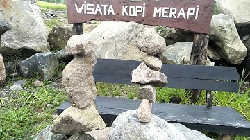 WISATA KULINER KOPI MERAPI DI GUNUNG MERAPI