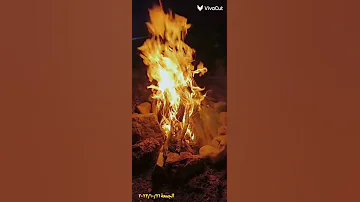 يا ليلي من الهوى والشوق 