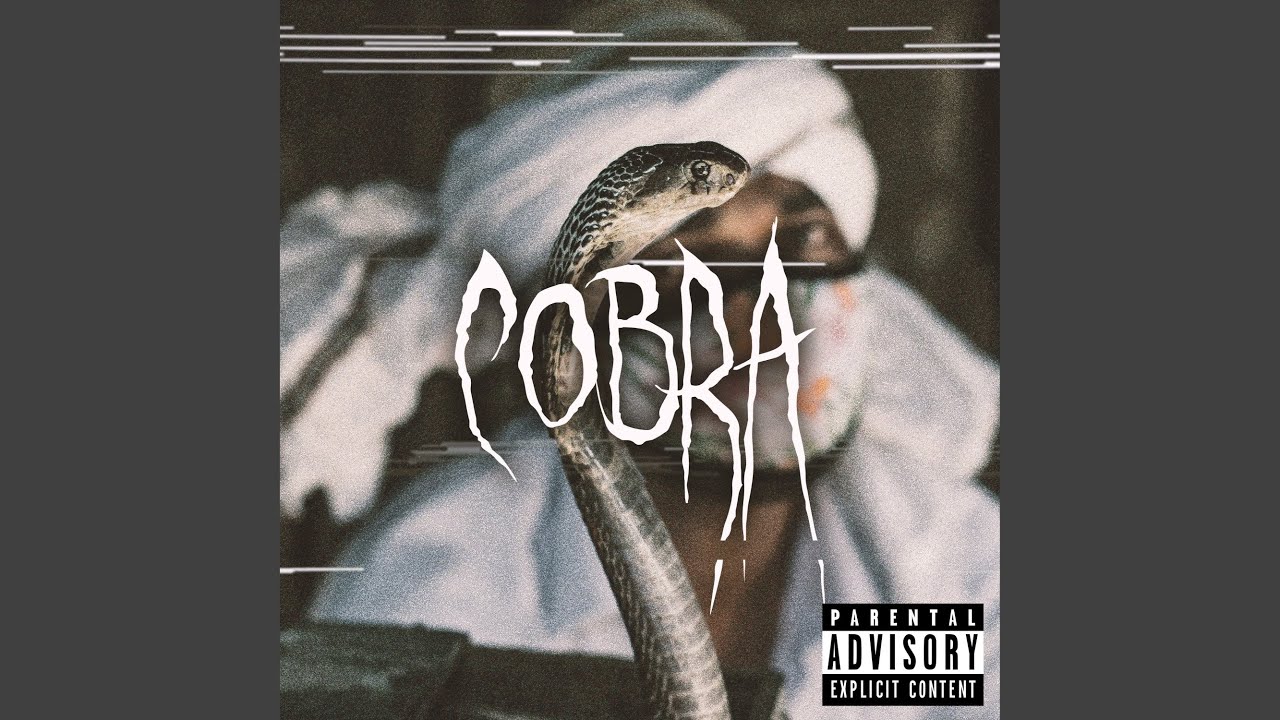Watch Cobra on YouTube Watch Cobra on YouTube