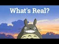 My Neighbor Totoro: What's Real? | Big Joel