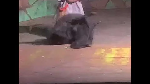 The Palmwine drinkard by kola Ogunmola