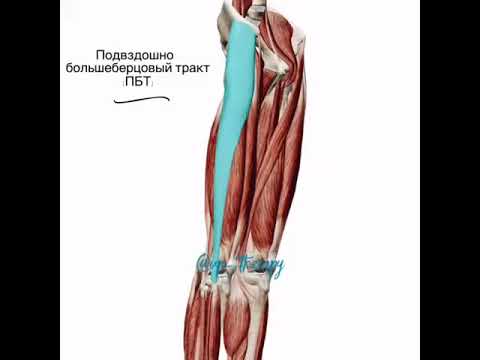 Подвздошно-большеберцовый тракт. Мышцы и фасции. - YouTube