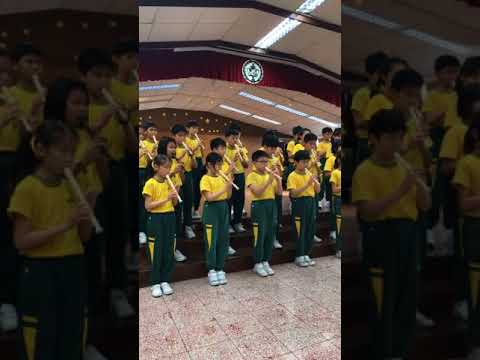 新北市私立育才雙語小學106學年度直笛比賽-4黃