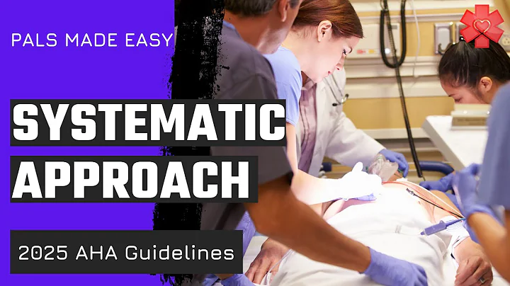 PALS 2025: Systematic Approach