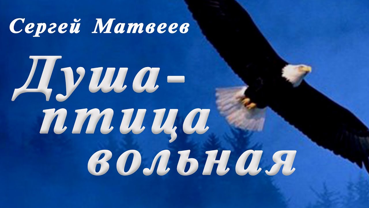 Песня стану птицей вольной. Вольная птица. Птица Вольная Донцов. Вольная птица песня.