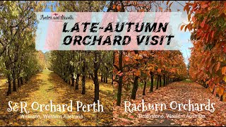 LATE AUTUMN ORCHARD VISITS || S&R ORCHARD PERTH || RAEBURN ORCHARDS || VLOG#16