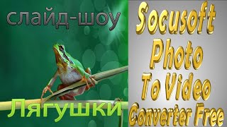Socusoft Photo To Video Converter Free. Видео "Лягушки" 0001. Socusoft Photo To Video Converter Free. Видео "Лягушки" 0001.