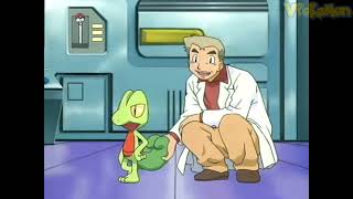 Treecko attacks Professor Oak | Professor Oak Funny Moments