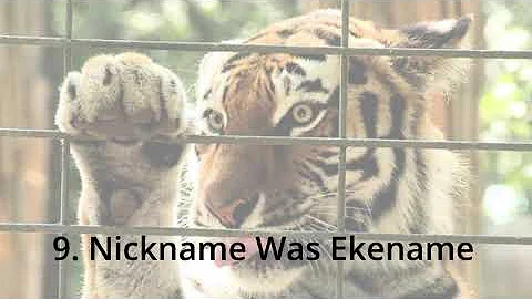 Common Words We Almost Spelled Differently