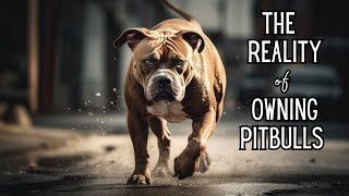 The most critical mistakes that Pitbull owners make