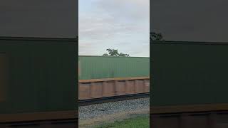 NS #29f SB Intermodal with #8095 ES44AC & UP #6931 AC4460CW at Tifton GA #railfaning #trainspotting