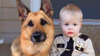 German Shepherd and Baby Compilation by Sad Cat 63,705 views 5 years ago 3 minutes, 43 seconds