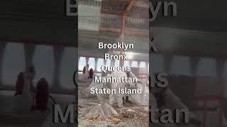 Asbestos Testing Asbestos Abatement Asbestos Debrish Removal Nyc & Nj