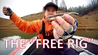 This is the "FREE RIG"...it CATCHES FISH!!!