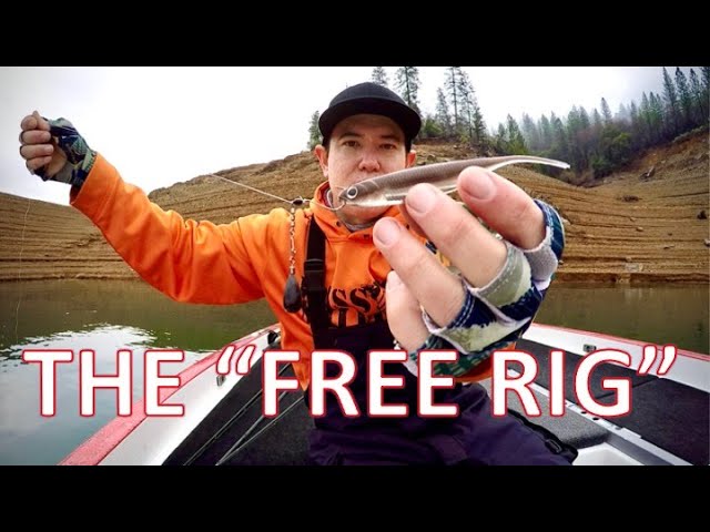 This is the FREE RIGit CATCHES FISH!!! 