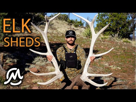 DIGGING UP ELK SHEDS IN THE DESERT | Solo Backpacking