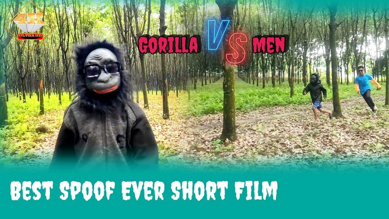 gorilla vs men Gorilla Fight Gorilla Video Best Spoof Ever Short