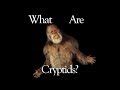 What Are Cryptids?