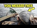 Jaws (1975): SECRETS Hidden for Decades